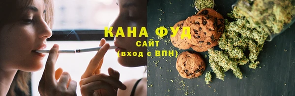 шишки Абаза
