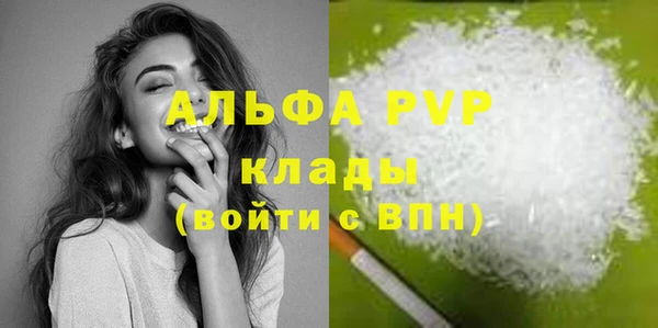 шишки Абаза