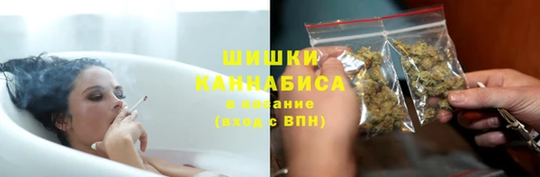 шишки Абаза