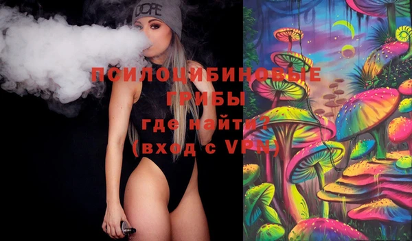 шишки Абаза