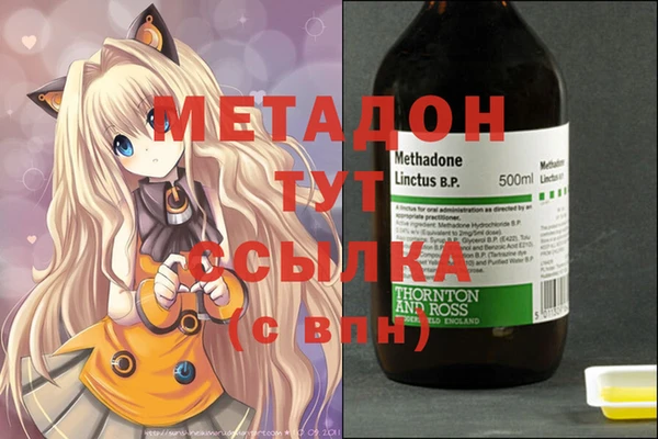 шишки Абаза